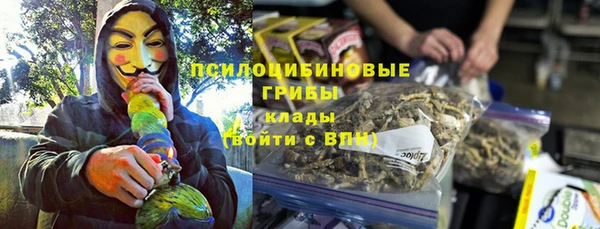 прущие крисы Магас